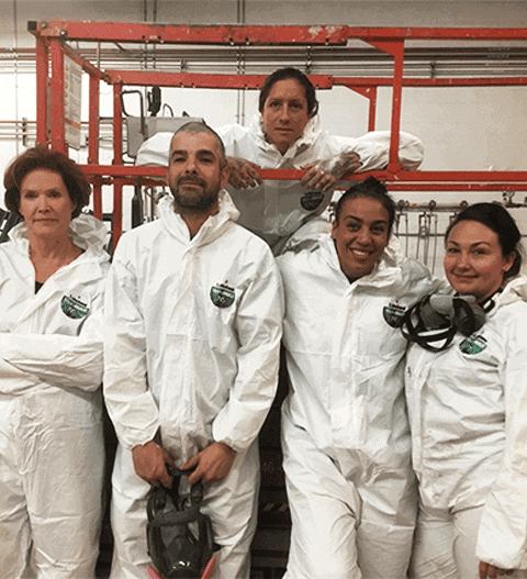 Absolute Mold Remediation Ltd.