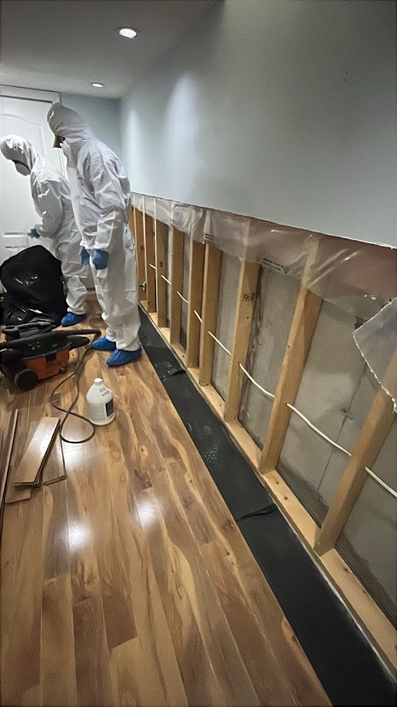 Mold Assist of Markham, ON