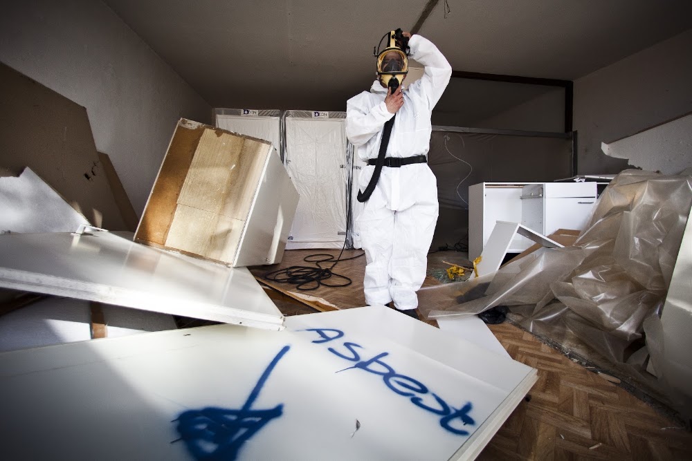 Absolute Mold Remediation Ltd.