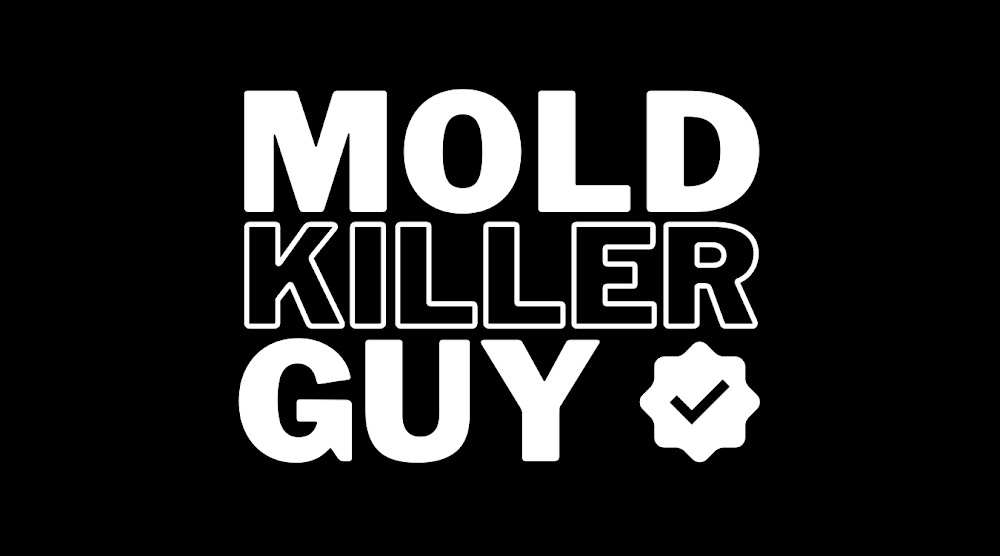 The Mold Killer guy