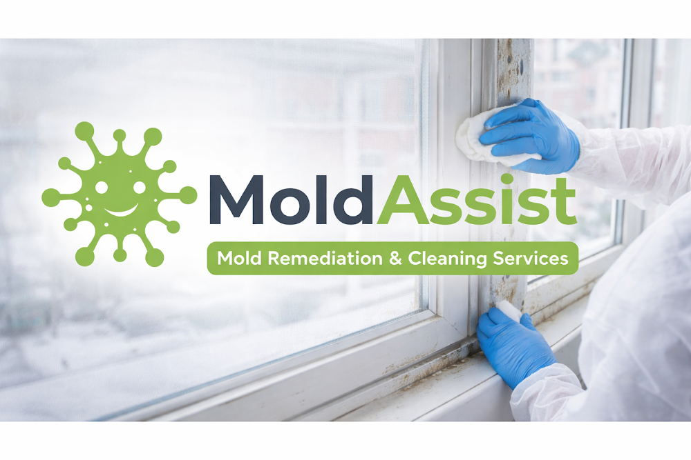 Mold Assist of Waterloo
