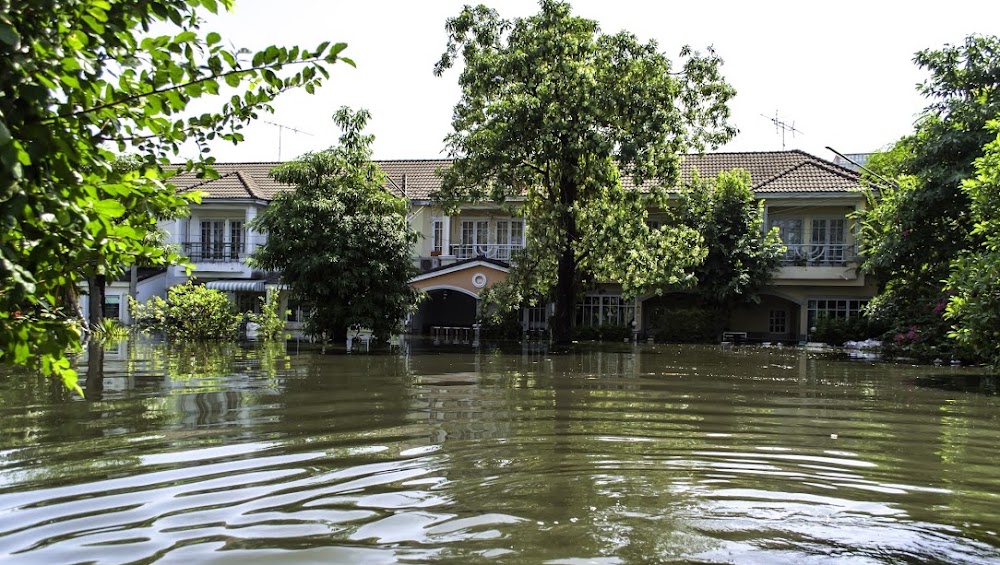 Floods 4 Less | Water Damage Restoration Toronto