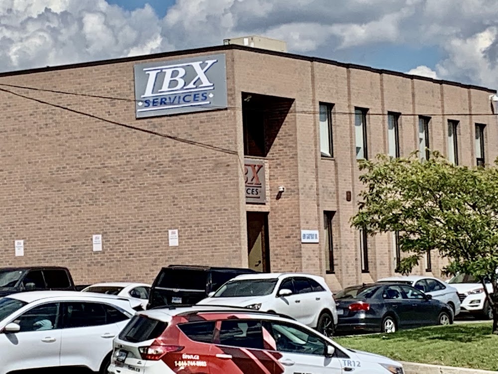 IBX Services