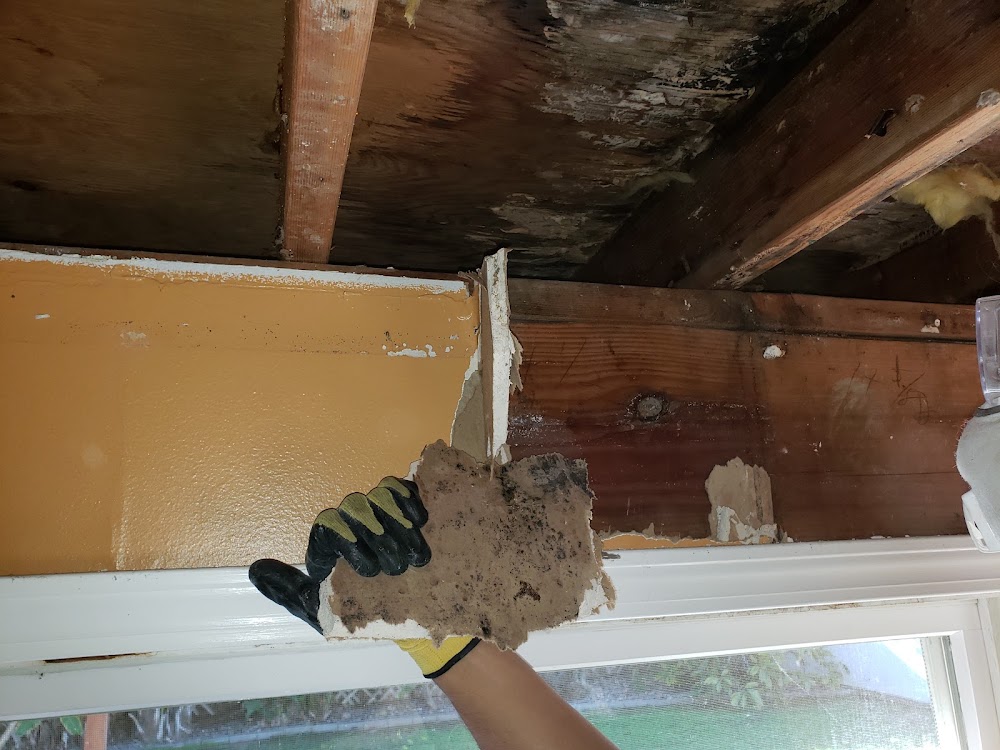 Toronto Water Damage Restoration