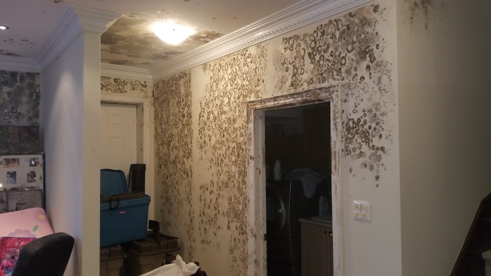 Canada's Restoration Services