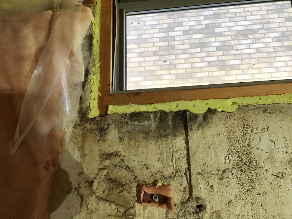 Absolute Mold Remediation Ltd