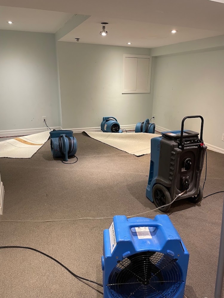 5 Star Dry All - Water Restoration Toronto