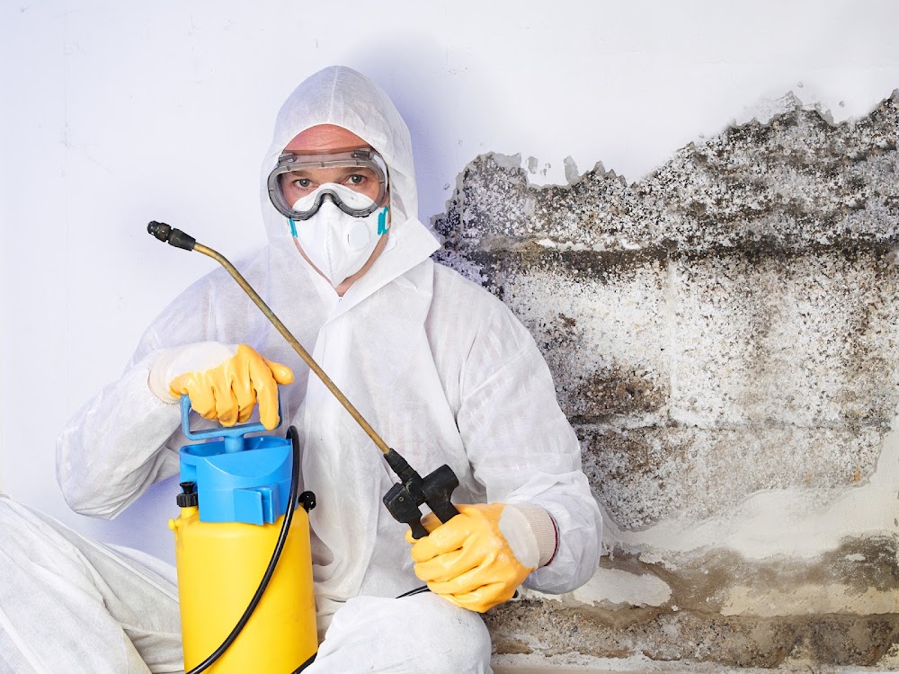 Peril Canada Mold & Asbestos Experts